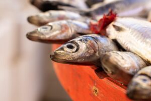 Fish